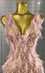 Brienne Pink Pearl Feather Lace See-Through Bodycon Mini Dress for Women