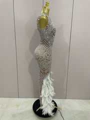 Ari Feather Evening Dress