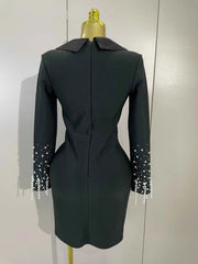 Eva Black V-Neck Pearl Beaded Long Sleeve Bodycon Bandage Dress