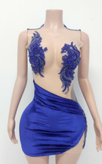 Brandy Sexy See-Through Sparkly Beaded Birthday Party Dress - Ready to Ship