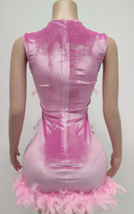 Fantasia Sheer O-Neck Pink Feather Mini Birthday Dress