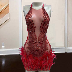 Feather Crystal Rhinestones Birthday Dress