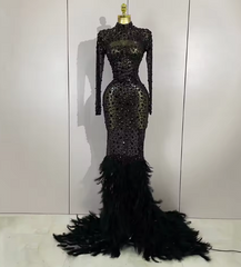 Elaine Luxury Sparkling Black Crystal Feathers Long Sleeve Sheer Maxi Dress