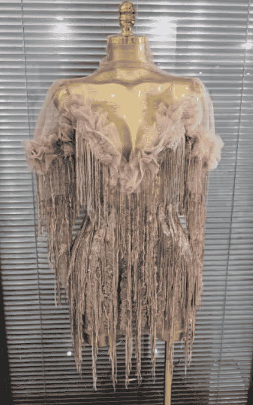 Chelsea See Through Sequin Tassel Dance Dress