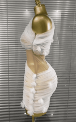 Ava One Shoulder Mesh Mini Dress