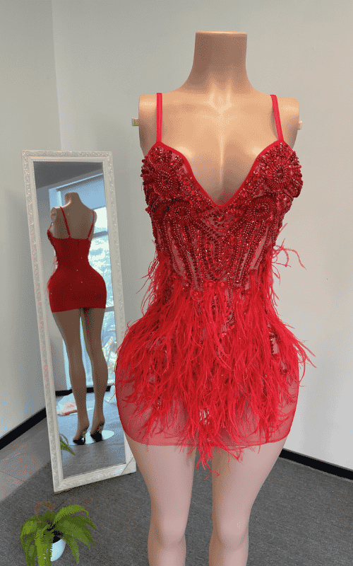 Diamond Crystal Feather Mini Birthday Dress