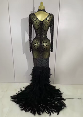 Elaine Luxury Sparkling Black Crystal Feathers Long Sleeve Sheer Maxi Dress