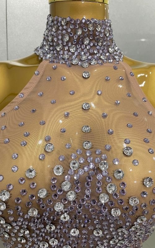 Amanda Luxury Sparkly Silver Rhinestone Sheer Mesh Long Dress