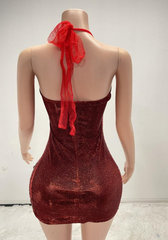 Gingee Sparkly Rhinestones Mesh See Through Short Birthday Dress