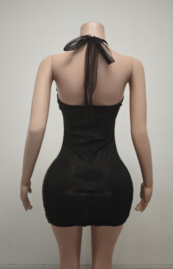 Gingee Sparkly Rhinestones Mesh See Through Short Birthday Dress - Ready to Ship