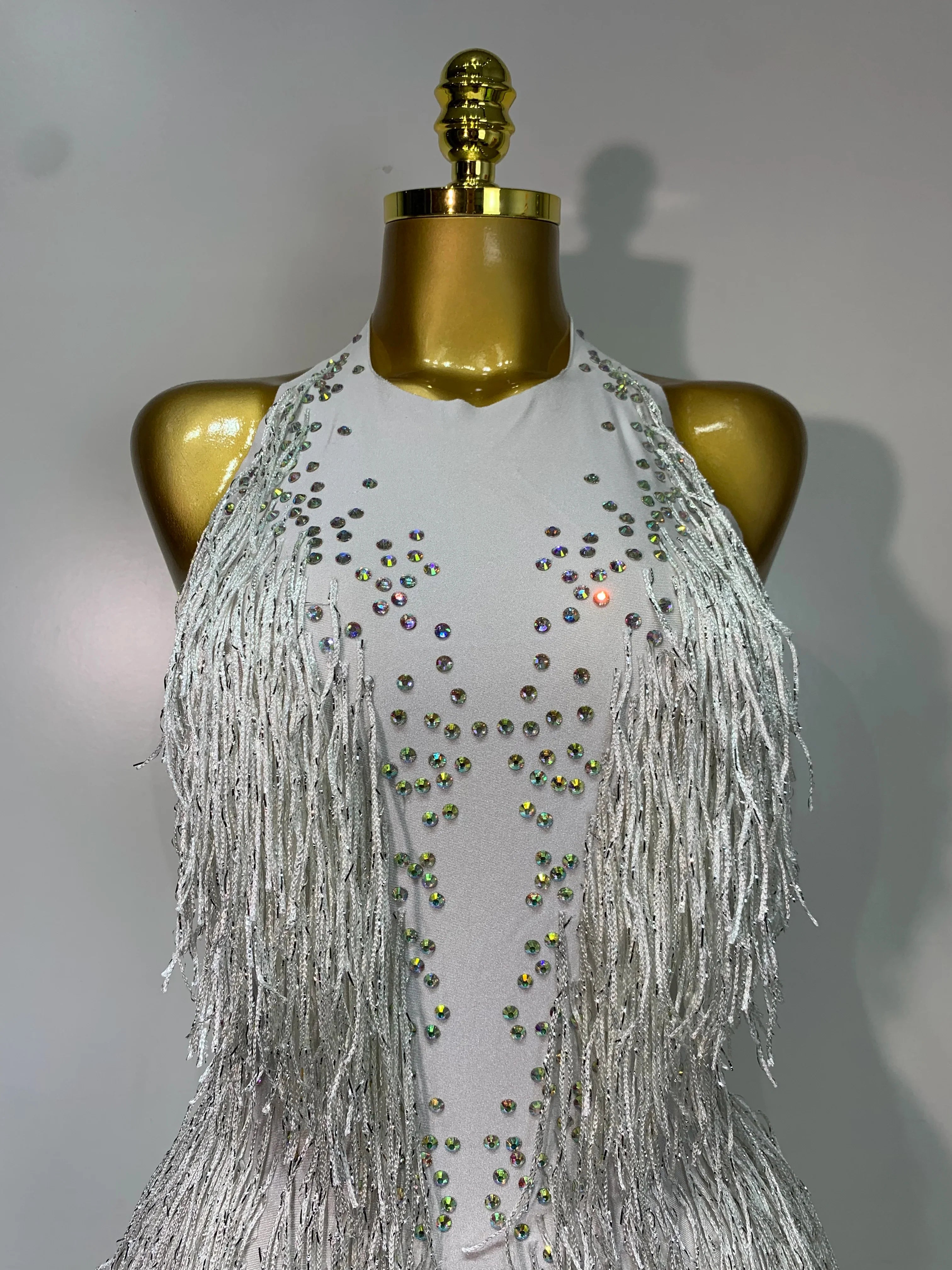 Danica Sparkly Rhinestones Fringes Leotard