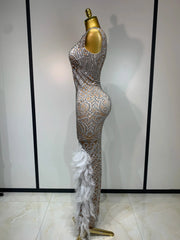Frances Sleeveless O-Neck Sparkly Rhinestone Feather Bodycon Party Dress – Elegant Floor-Length Gown