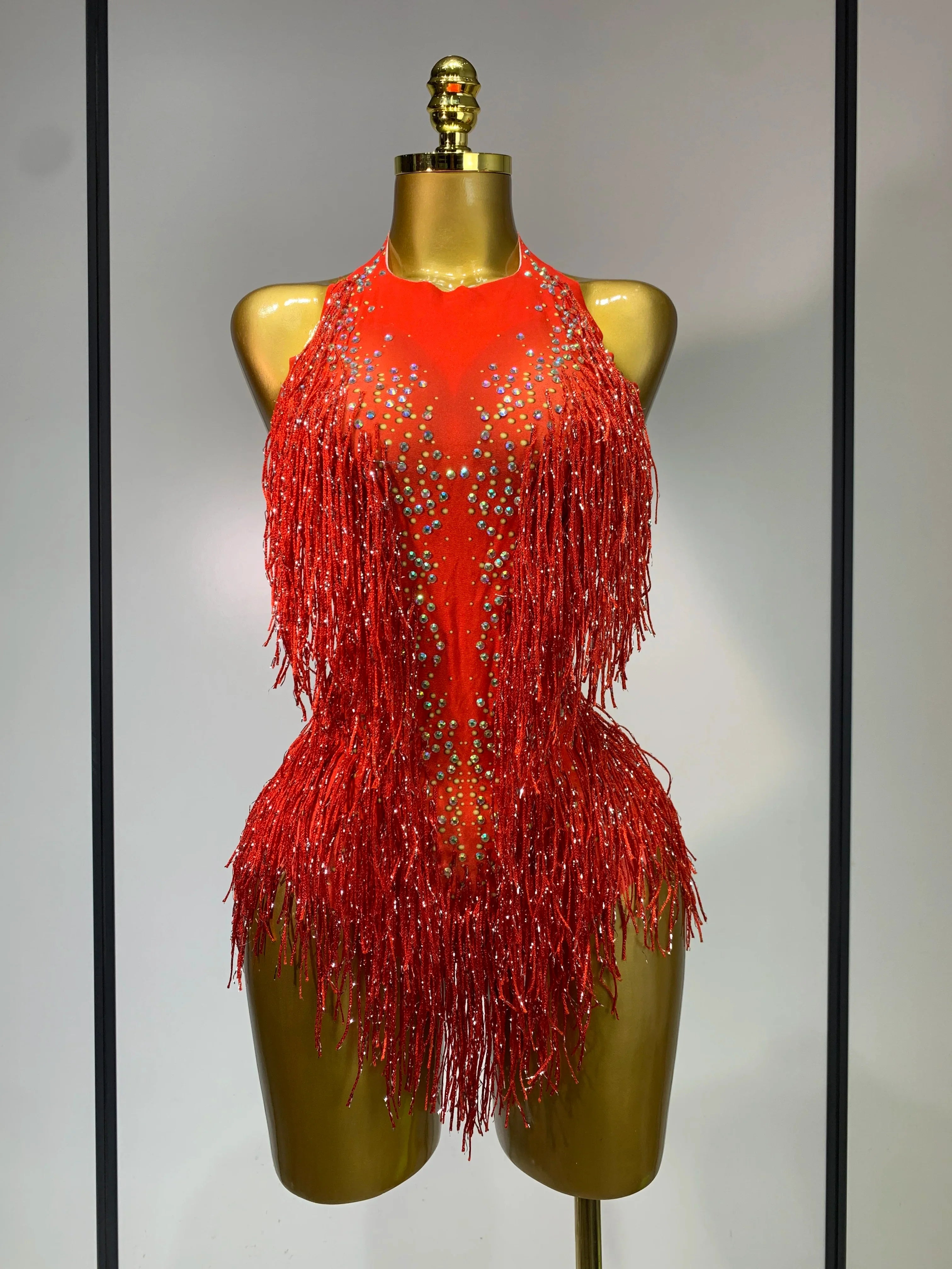 Danica Sparkly Rhinestones Fringes Leotard
