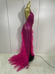 Gabrielle Rhinestone Fringe Backless Sheer Maxi Dress
