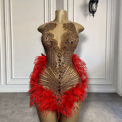 Gold Diamond Red Feather Mini Birthday Dress