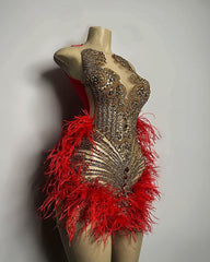 Gold Diamond Red Feather Mini Birthday Dress