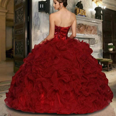 Gorgeous Burgundy Ball Gown Quinceanera Dress