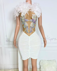 Desiree Sleeveless Feather Rhinestone Birthday Dress