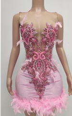 Fantasia Sheer O-Neck Pink Feather Mini Birthday Dress