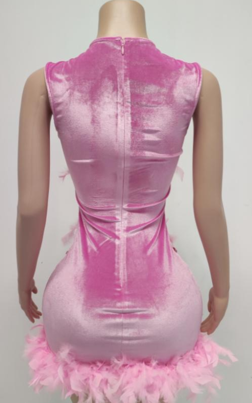 Fantasia Sheer O-Neck Pink Feather Mini Birthday Dress