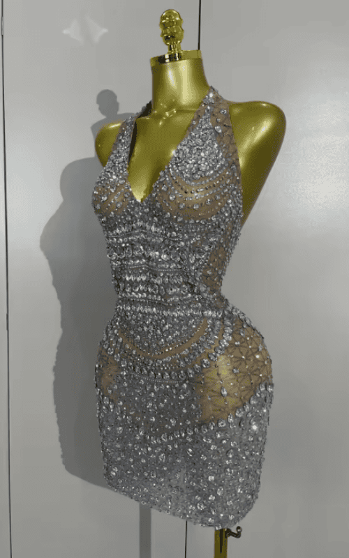 Akisha Sparkly Rhinestone Backless Sheer Mesh Bodycon Mini Dress