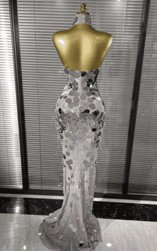 Elise Strapless Sequin Sheer Mesh Bodycon Mermaid Long Dress