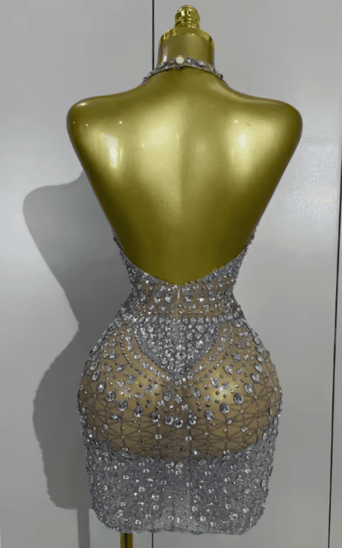 Candice Sparkly Rhinestone Backless Sheer Mesh Bodycon Mini Dress