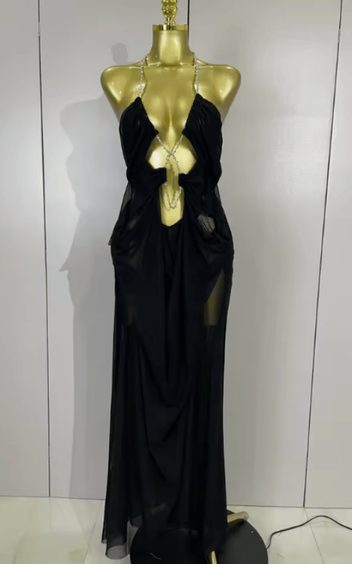 Amanda Sheer Mesh Halter Low Neck Backless Sleeveless Long Dress