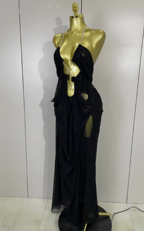 Amanda Sheer Mesh Halter Low Neck Backless Sleeveless Long Dress
