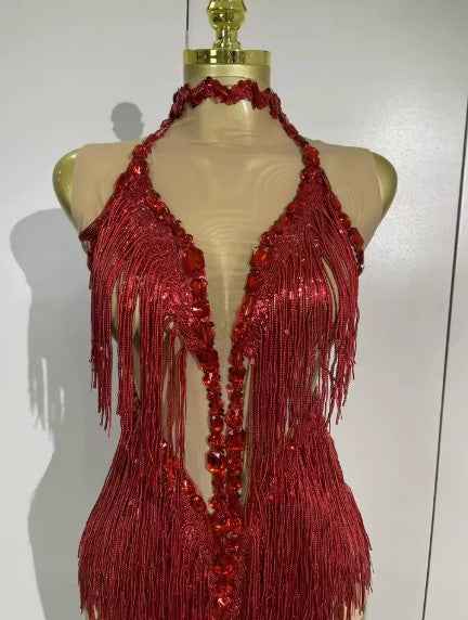Alyson Sexy Sheer Mesh Dress with Sequins and Fringe